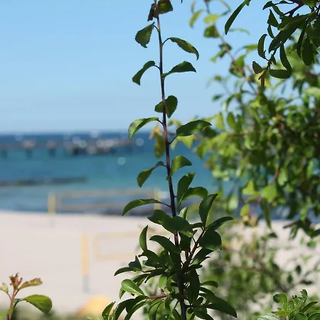 Gruner Weg Ostseebad Kühlungsborn