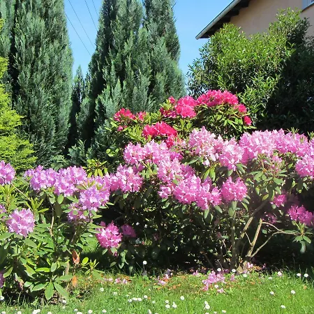 Apartmán Gruner Weg Ostseebad Kühlungsborn